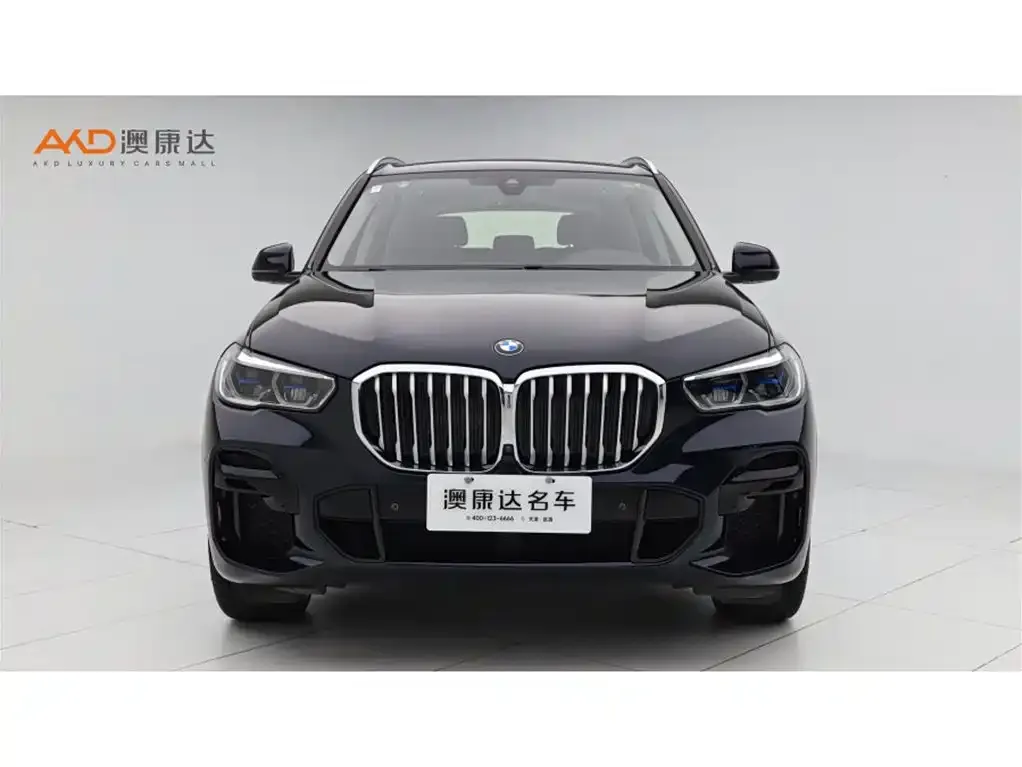 BMW X5 (Import) 2022 из CN, фото 4