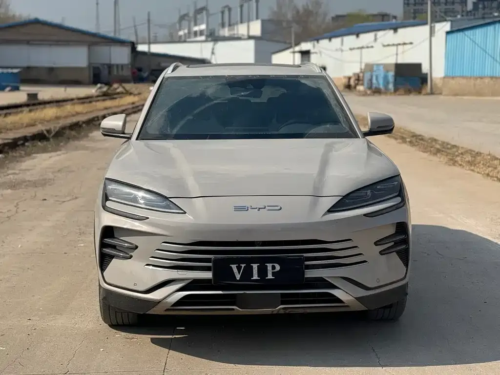 BYD PLUS New Energy 2023 из CN, фото 3