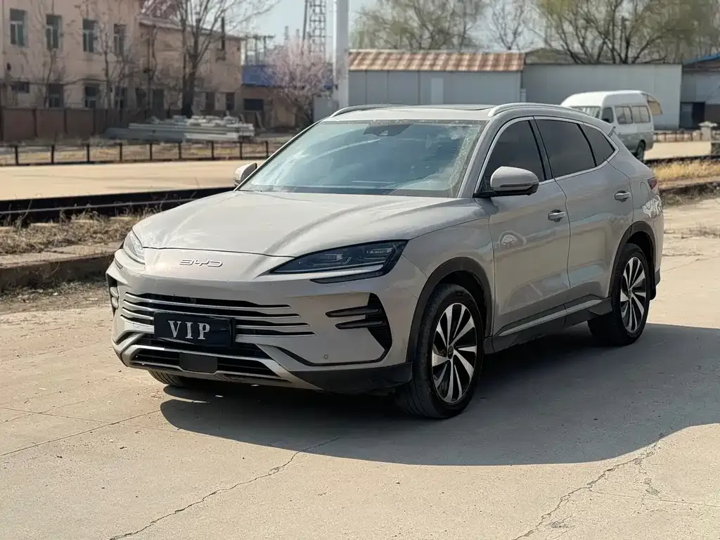 BYD PLUS New Energy 2023 из CN, фото 7