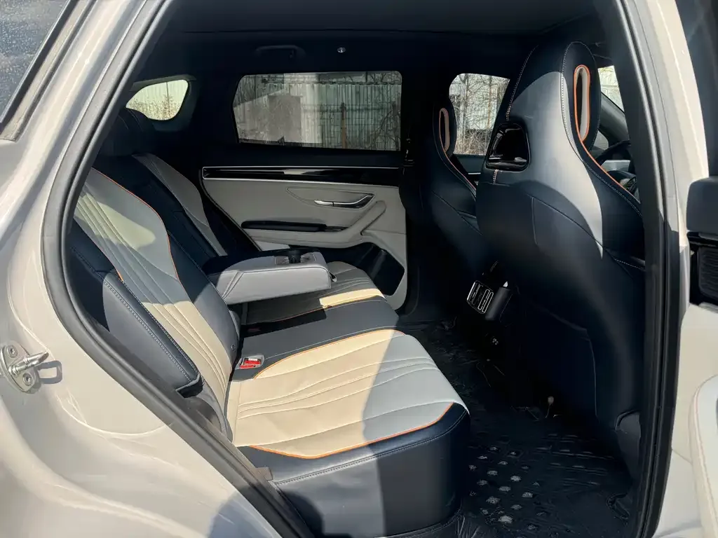 BYD PLUS New Energy 2023 из CN, фото 4