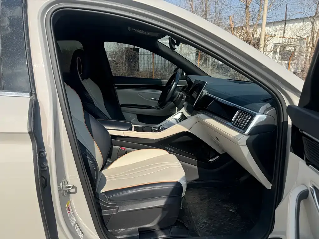 BYD PLUS New Energy 2023 из CN, фото 9