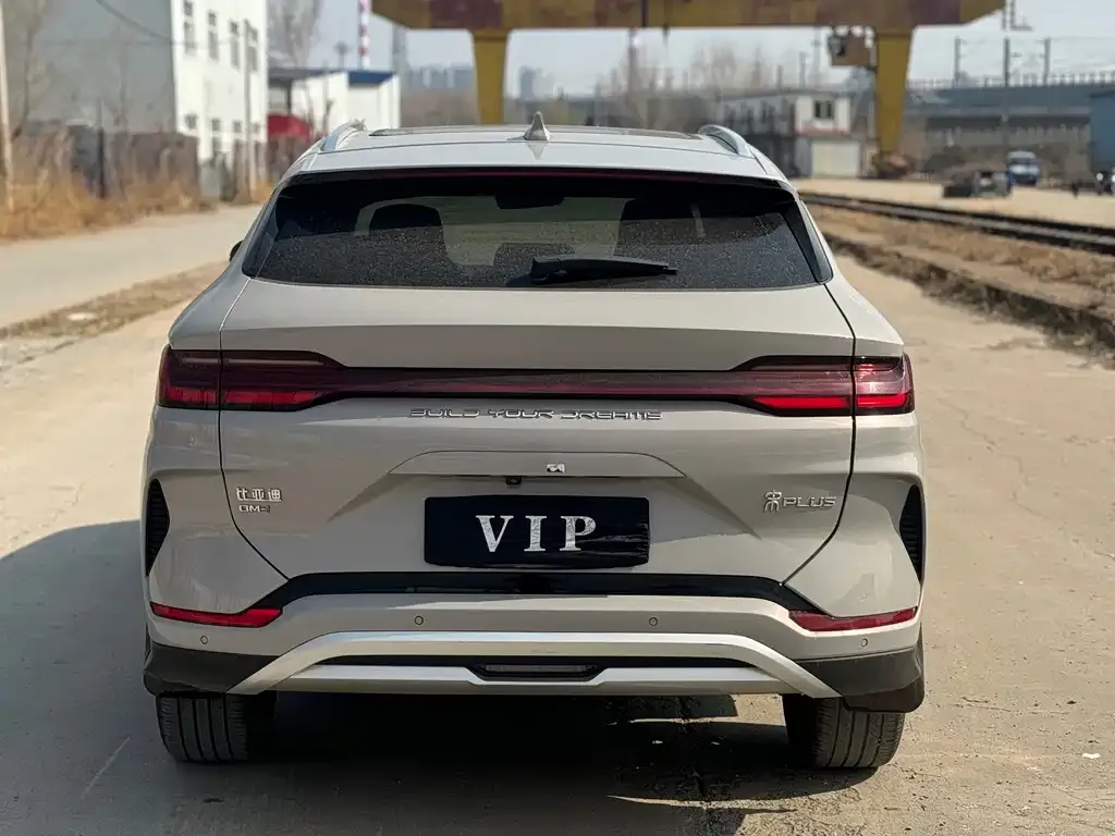 BYD PLUS New Energy 2023 из CN, фото 5