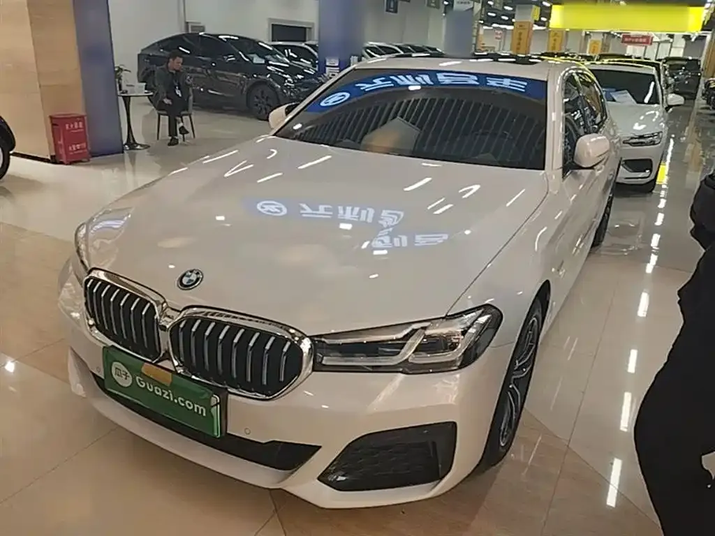 BMW 5 Series New Energy — фото 4