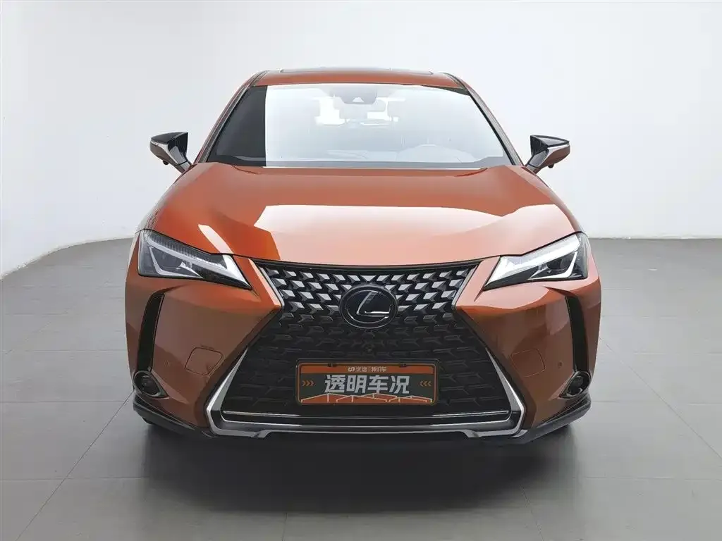 Lexus UX 2021 из CN, фото 5
