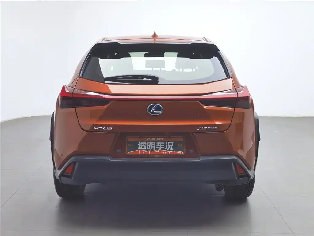 Lexus UX 2021 из CN, фото 10