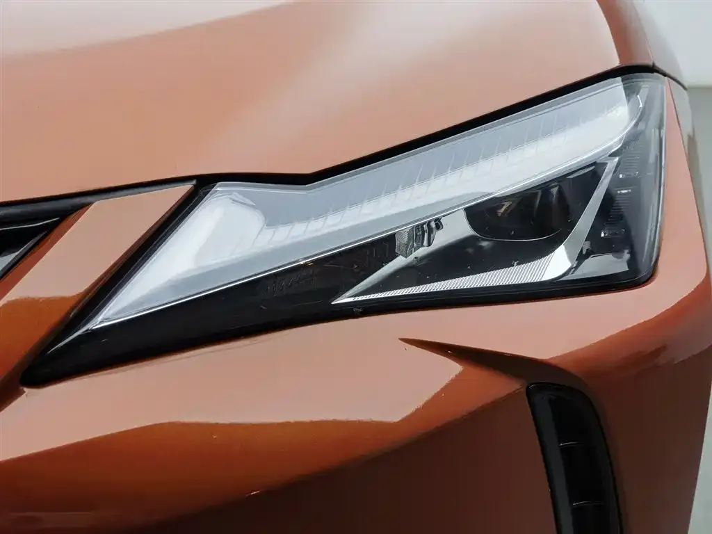 Lexus UX 2021 из CN, фото 3