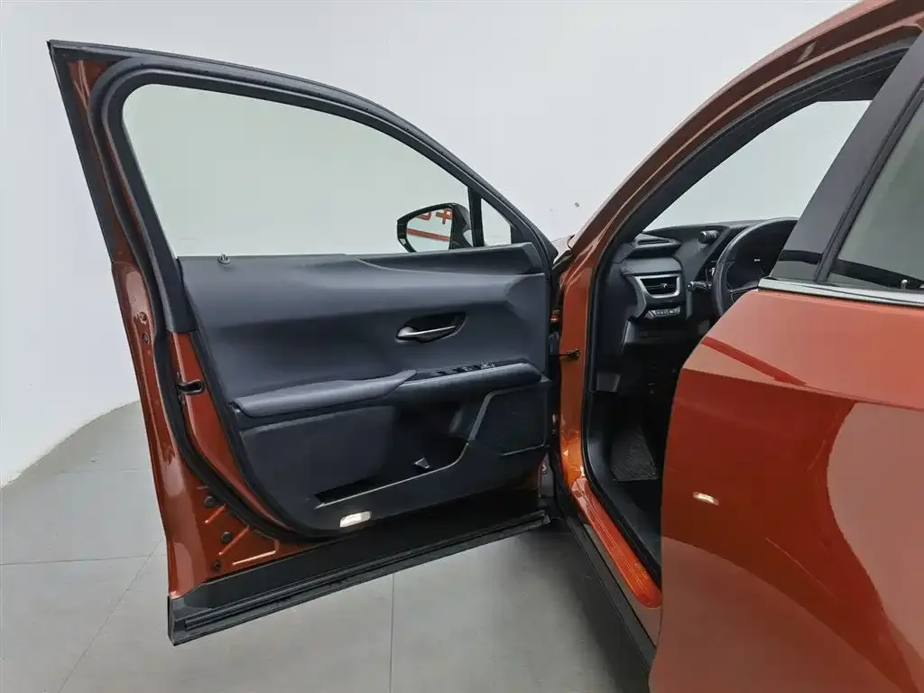 Lexus UX 2021 из CN, фото 2
