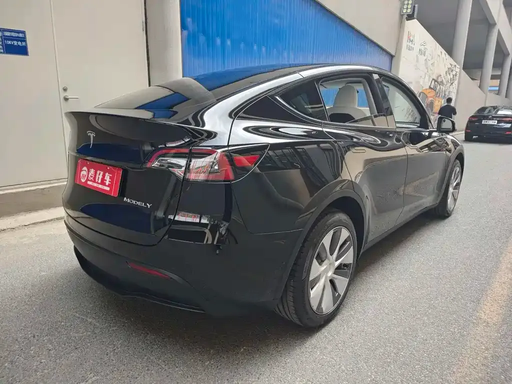 Tesla Model Y 2023 из CN, фото 6