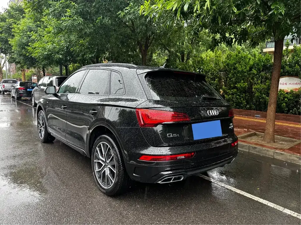Audi Q5L 2024 из CN, фото 9