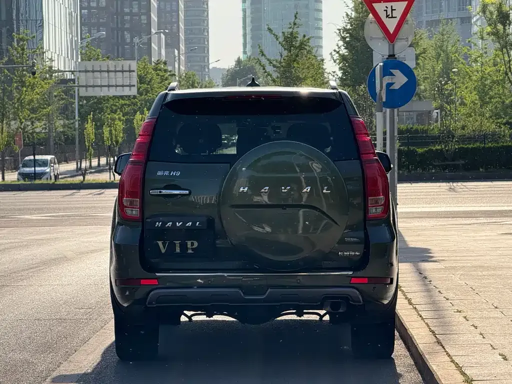 Haval H9 2021 из CN, фото 6