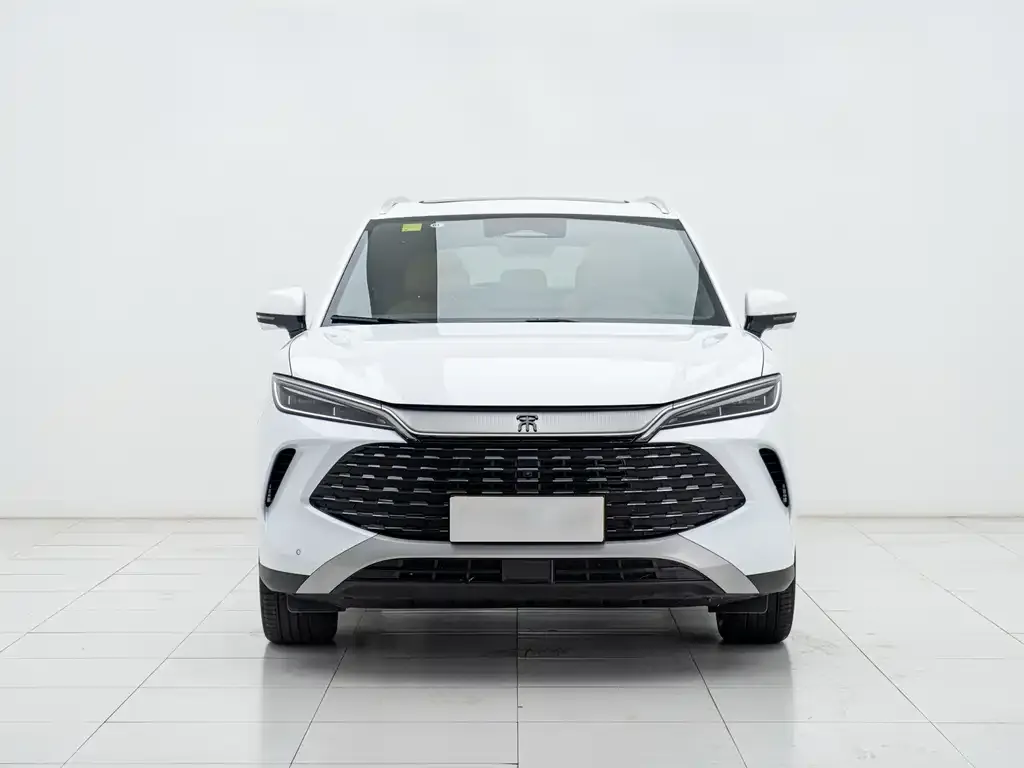 BYD L DM-i 2025 из CN, фото 5