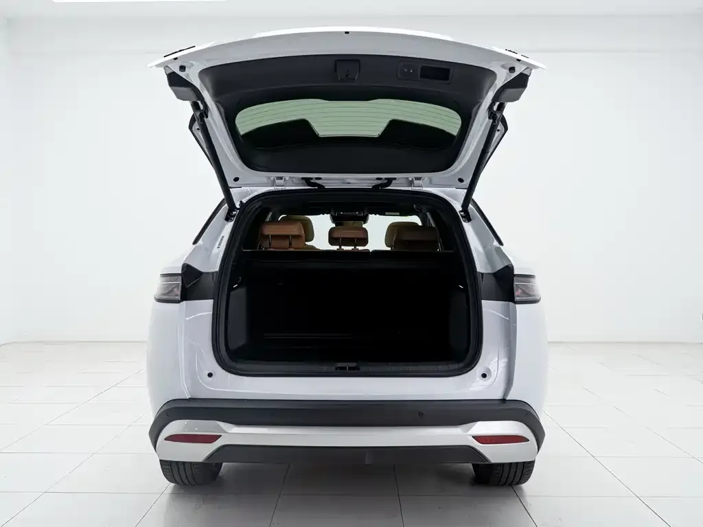 BYD L DM-i 2025 из CN, фото 2