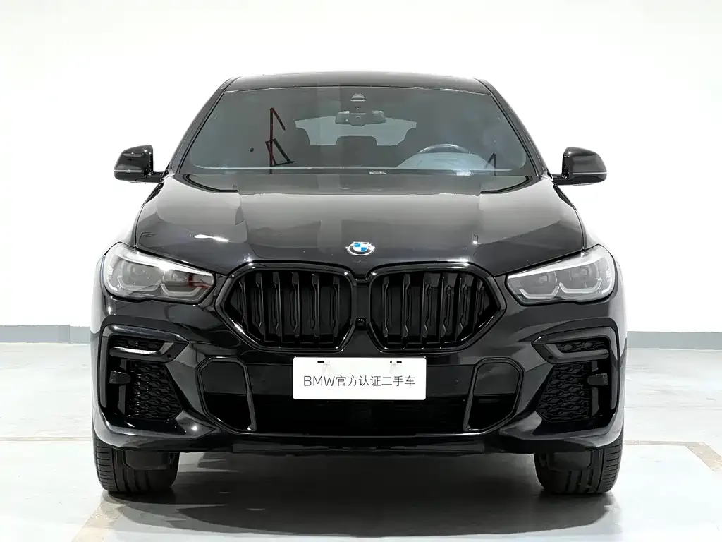 BMW X6 2023 из CN, фото 4