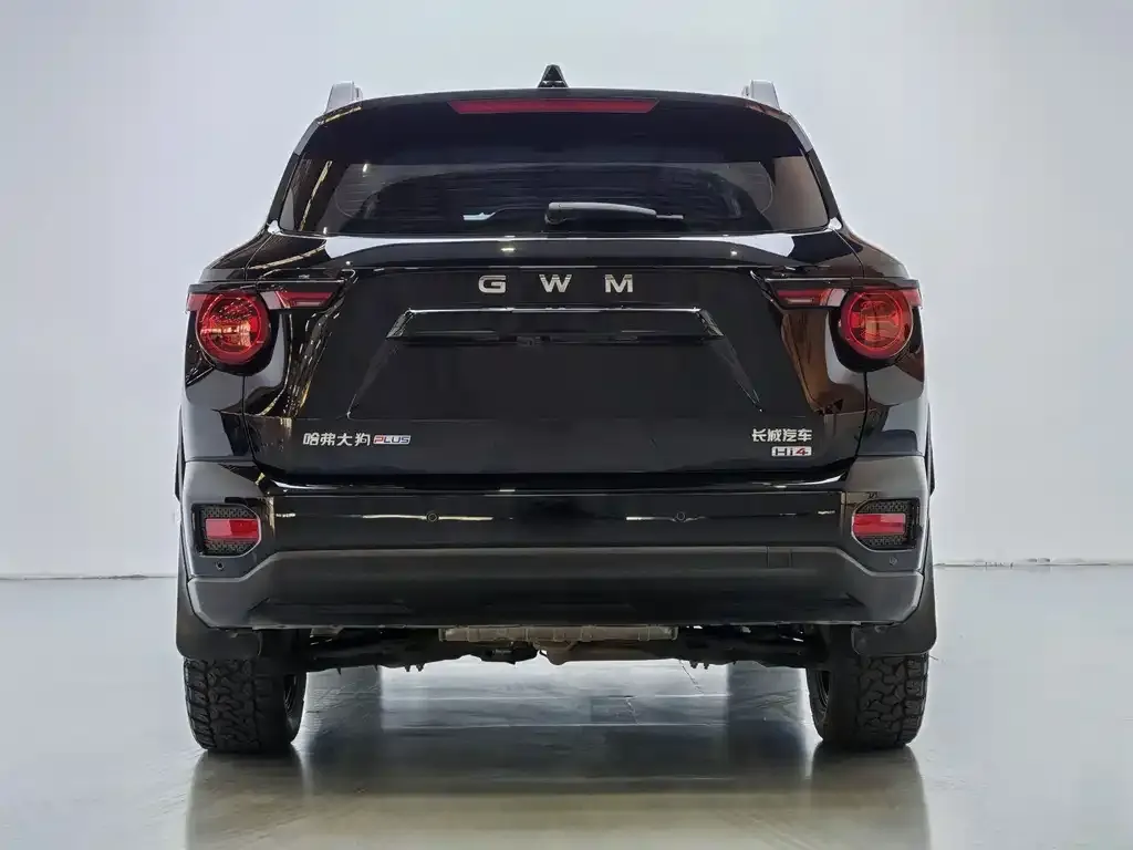 Haval H7 (Big Dog Plus) New Energy 2025 из CN, фото 4