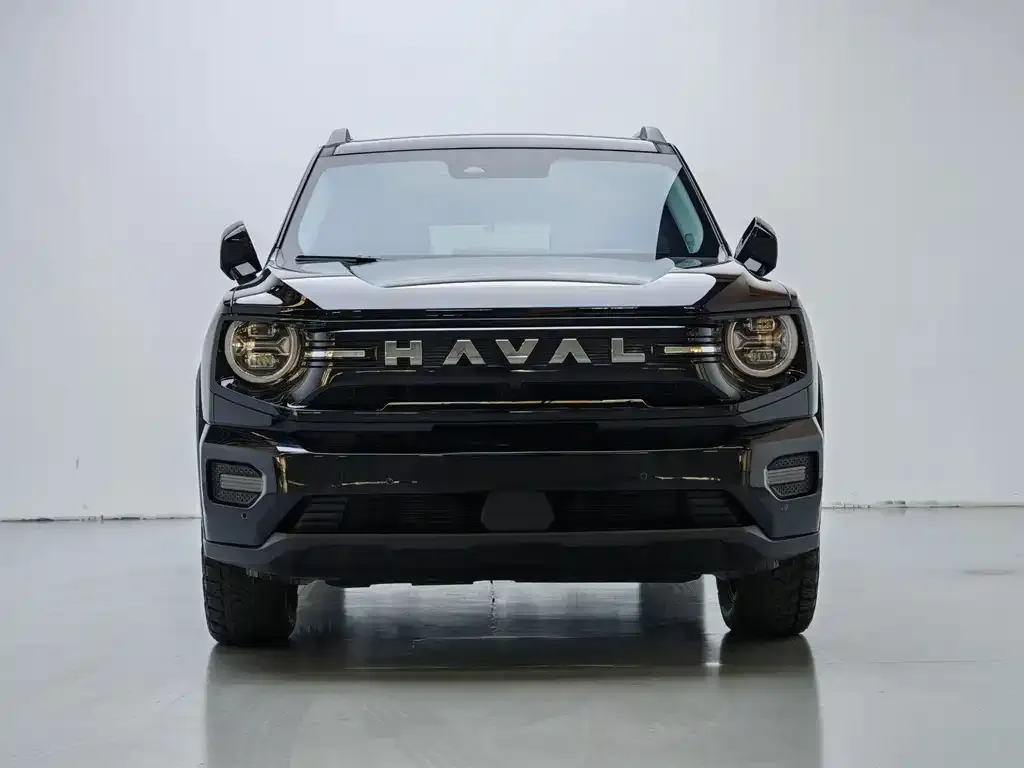 Haval H7 (Big Dog Plus) New Energy 2025 из CN, фото 2