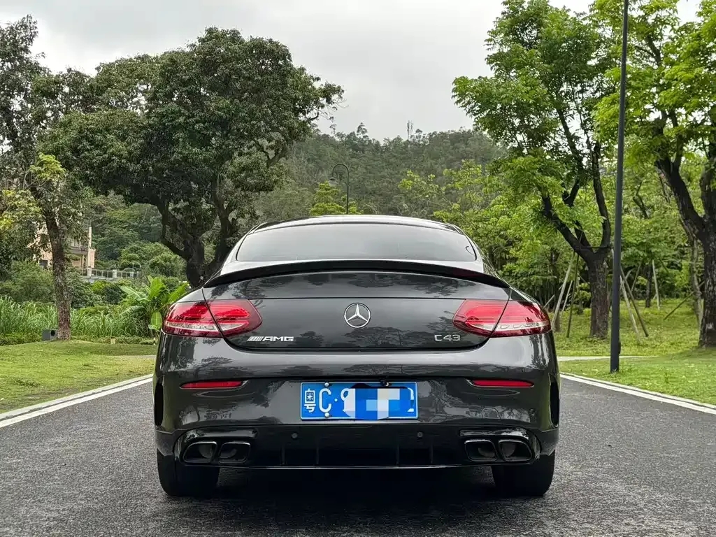 Mercedes-Benz C-Class (Import) — фото 8