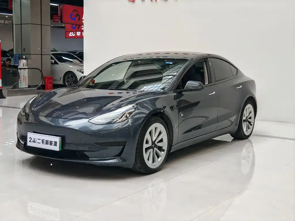 Tesla Model 3 2021 из CN, фото 1