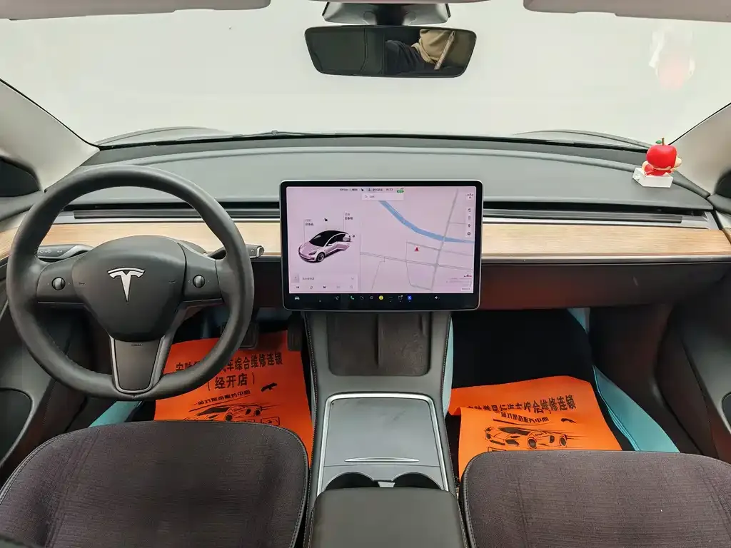 Tesla Model 3 2021 из CN, фото 8