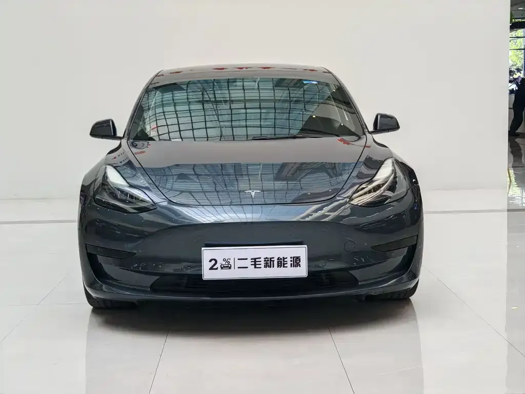 Tesla Model 3 2021 из CN, фото 6