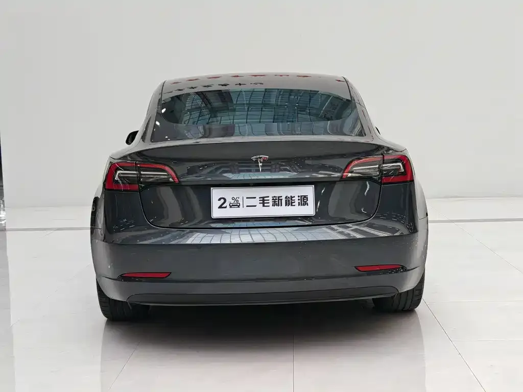 Tesla Model 3 2021 из CN, фото 2