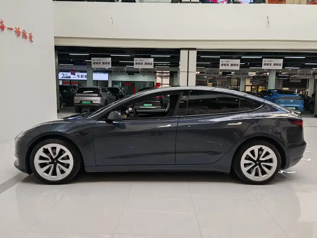 Tesla Model 3 2021 из CN, фото 4