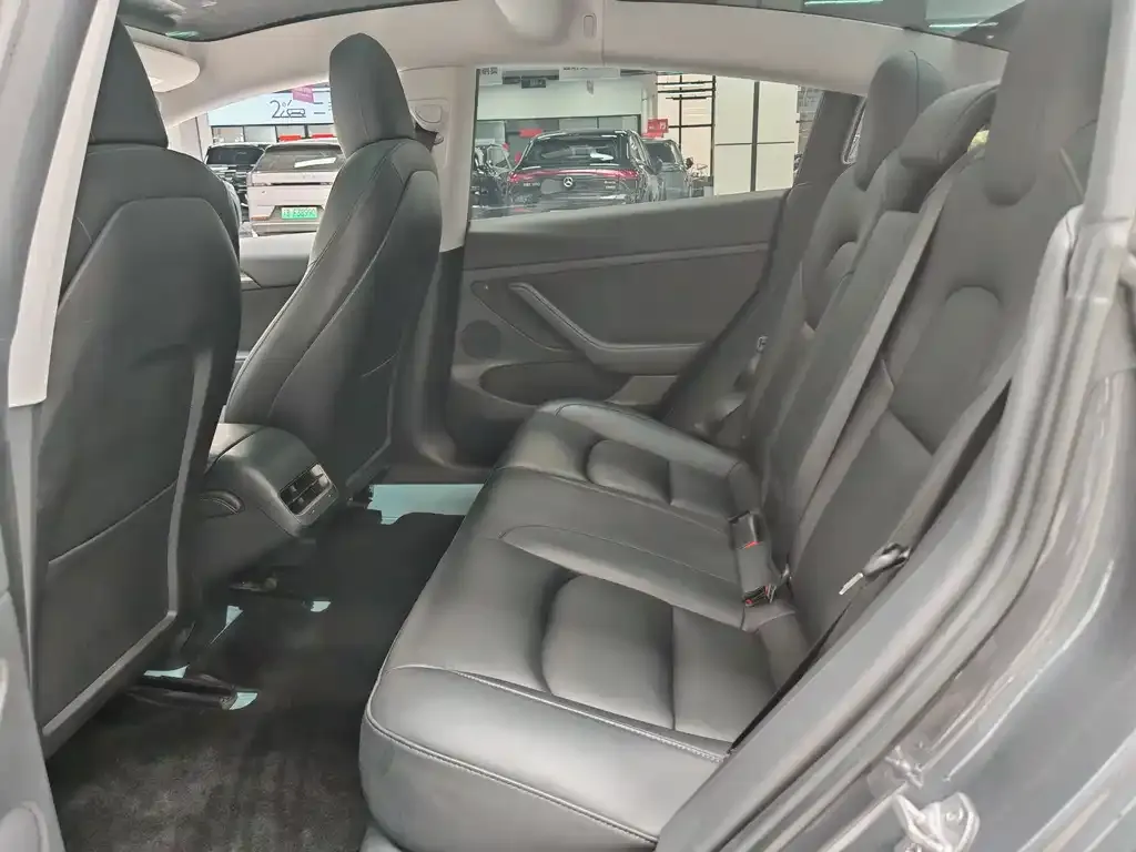 Tesla Model 3 2021 из CN, фото 7