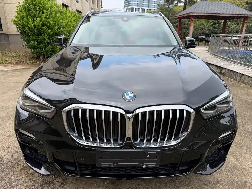 BMW X5 (Import) 2021 из CN, фото 7
