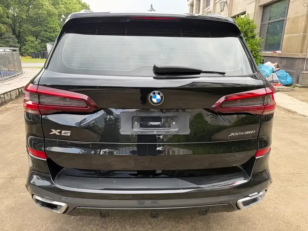 BMW X5 (Import) 2021 из CN, фото 6