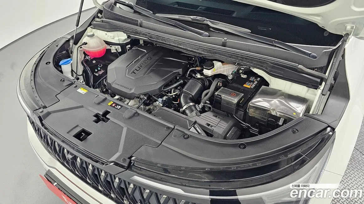 Kia Carnival — фото 10