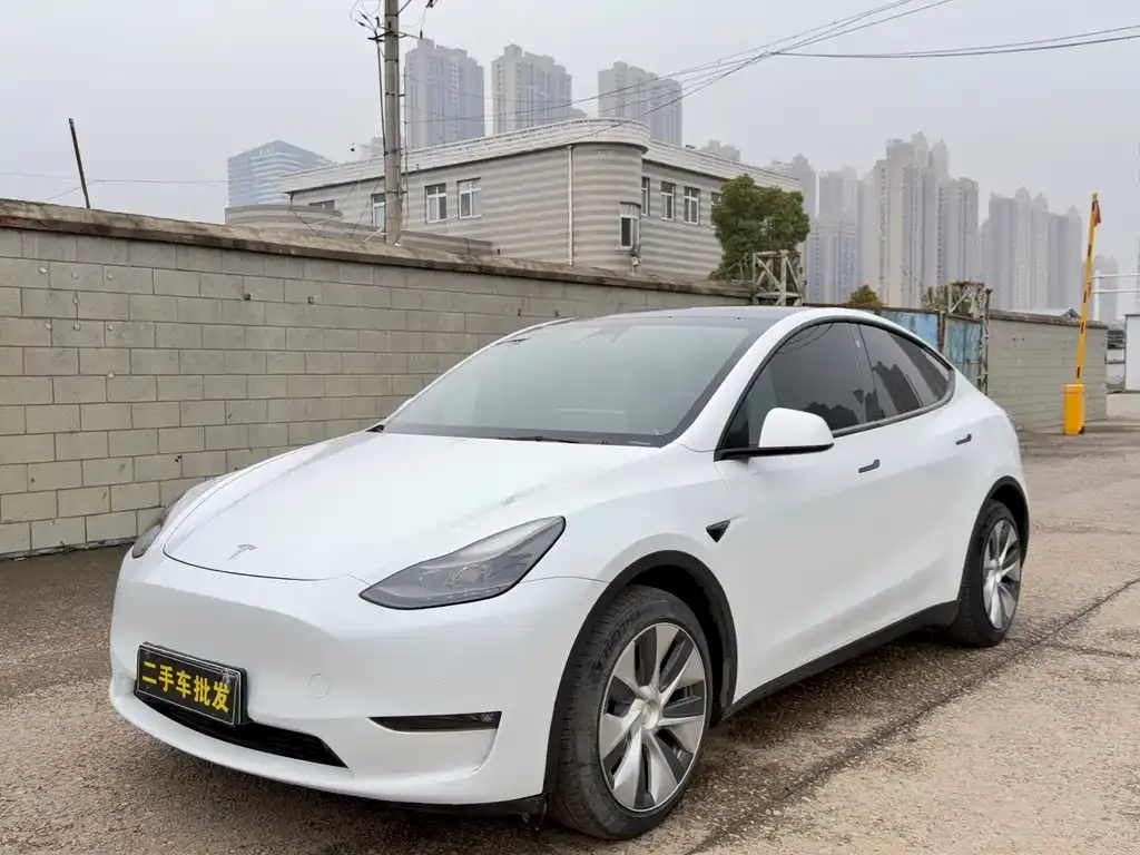 Tesla Model Y — фото 1