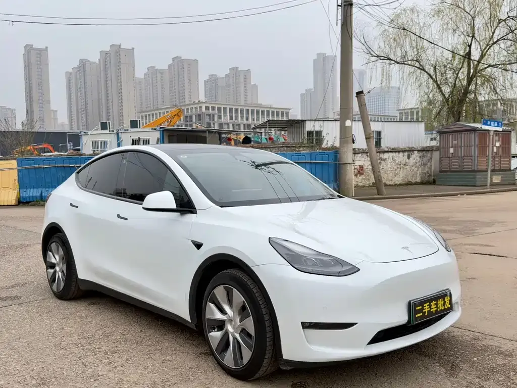 Tesla Model Y — фото 10