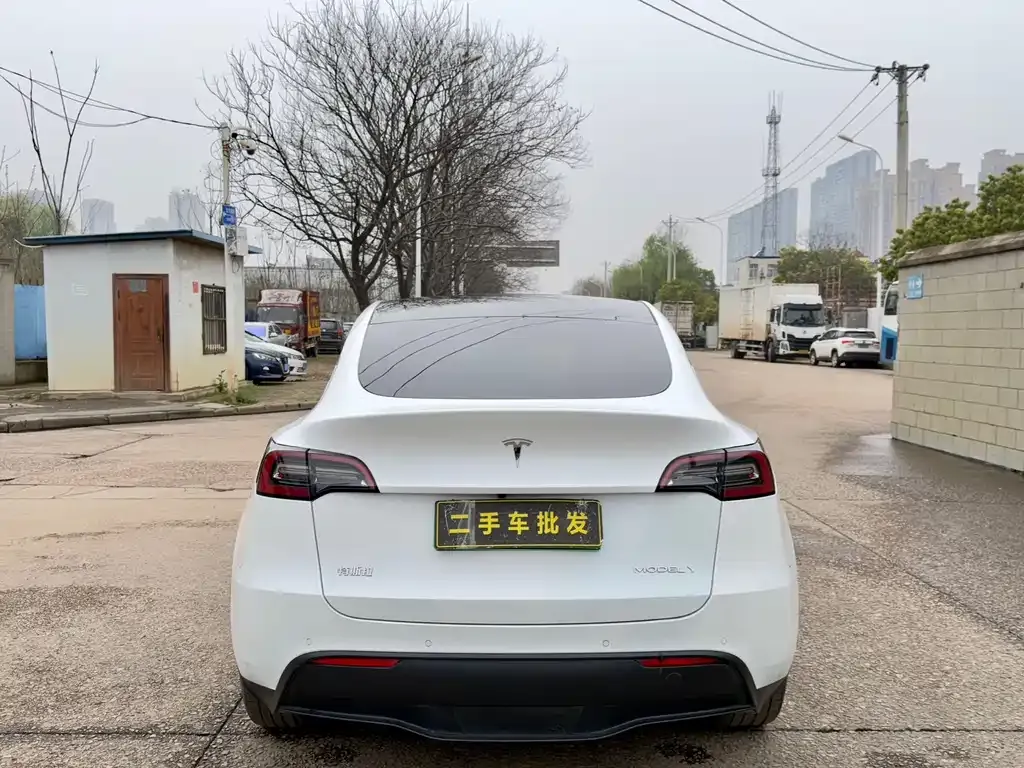 Tesla Model Y — фото 8