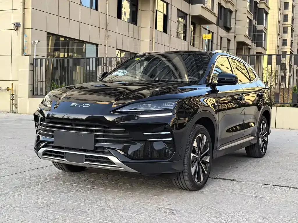 BYD PLUS New Energy — фото 1