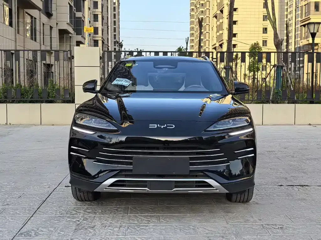 BYD PLUS New Energy — фото 3
