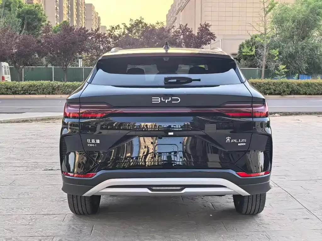BYD PLUS New Energy — фото 6