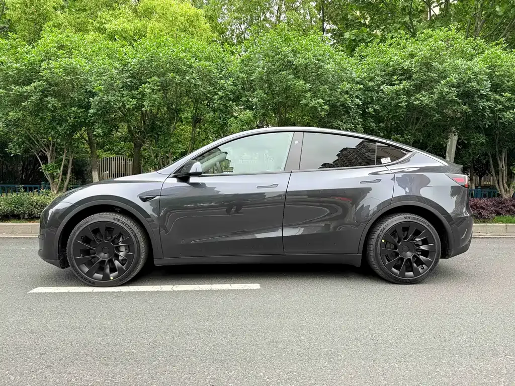 Tesla Model Y 2024 из CN, фото 8
