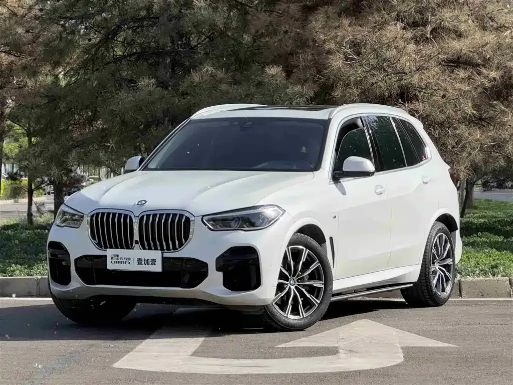 BMW X5 (Import) — фото 1