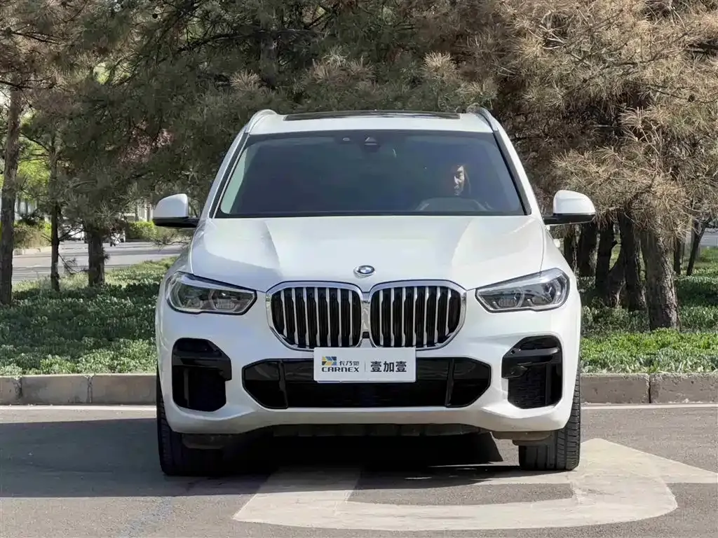 BMW X5 (Import) — фото 7