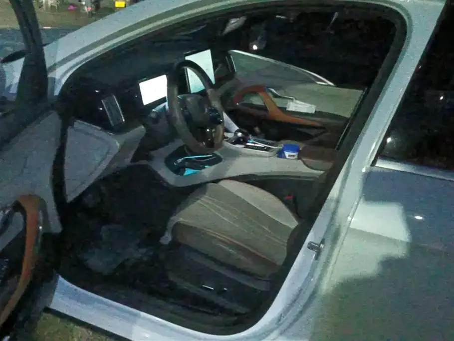 BYD Pro New Energy 2023 из CN, фото 4