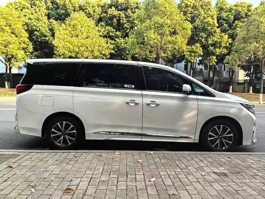 GAC Motor Trumpchi M8 2023 из CN, фото 8