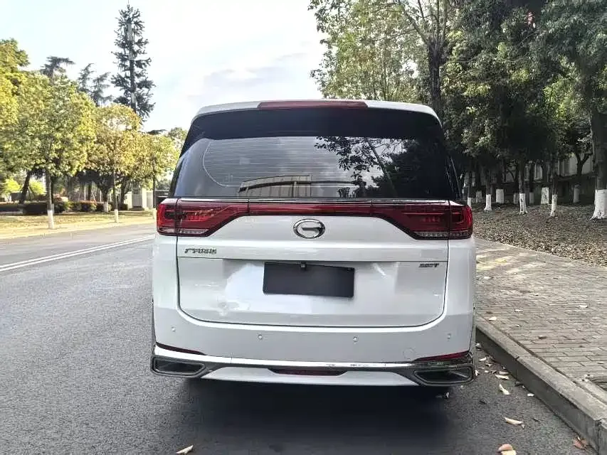 GAC Motor Trumpchi M8 2023 из CN, фото 5
