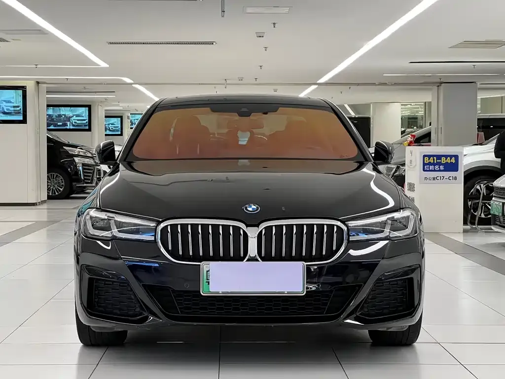 BMW 5 Series New Energy — фото 2