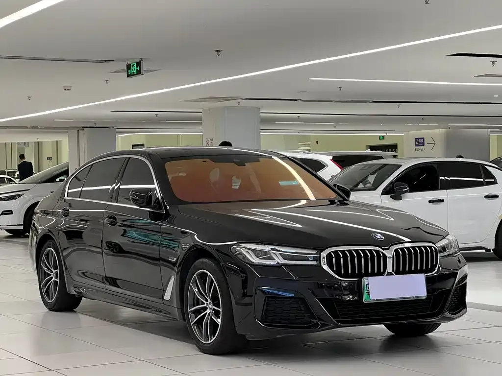BMW 5 Series New Energy — фото 6
