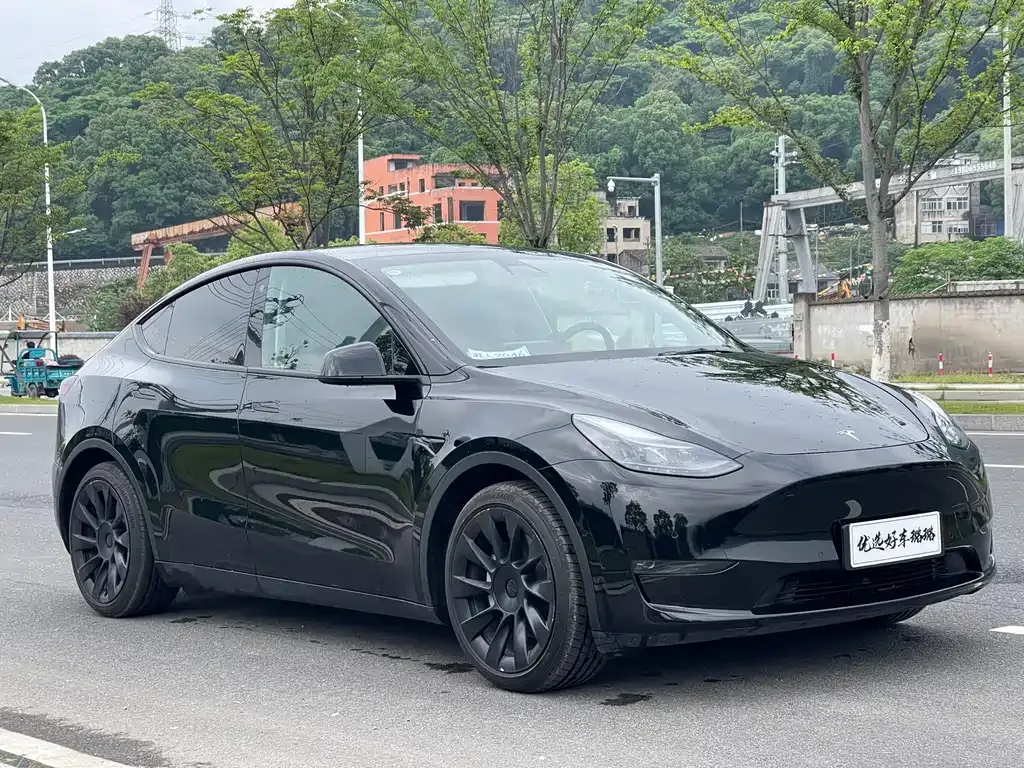 Tesla Model Y — фото 1