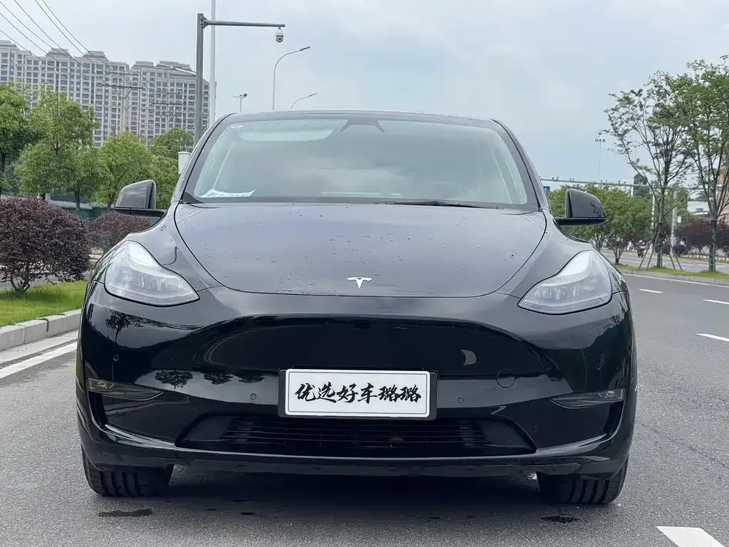 Tesla Model Y — фото 8