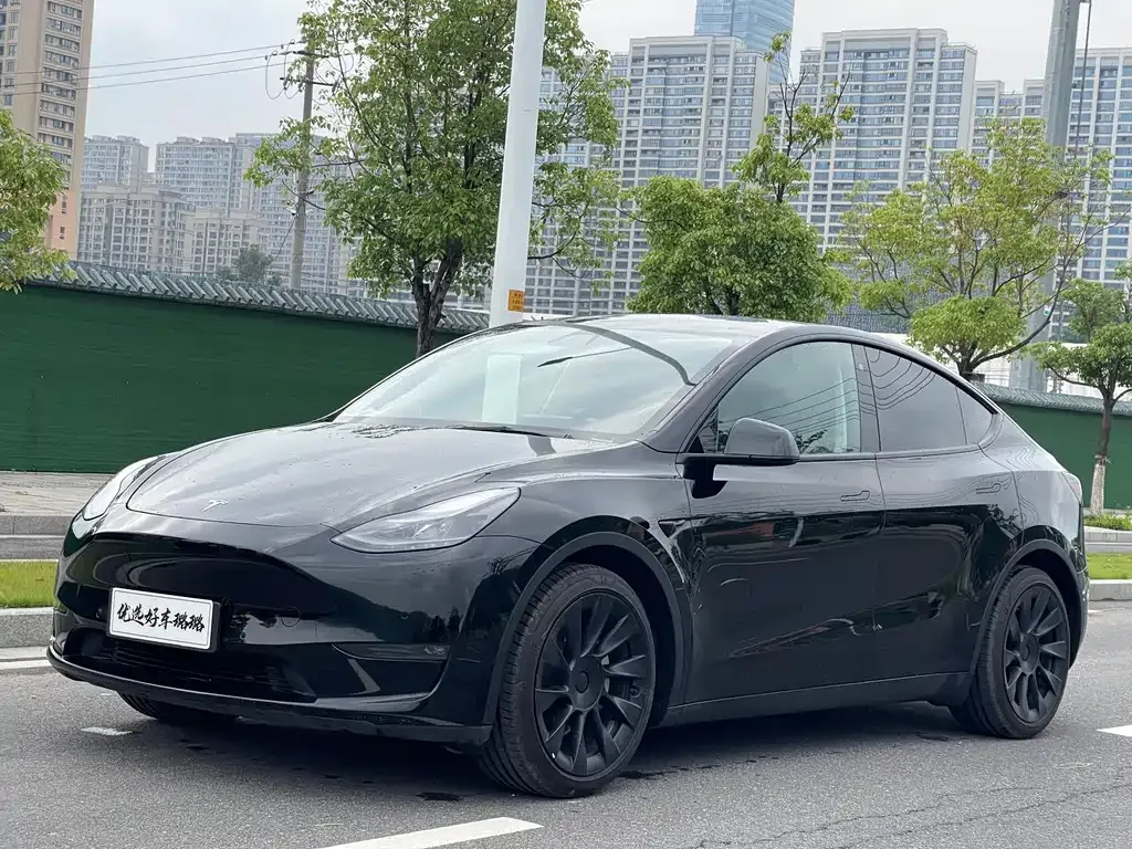 Tesla Model Y — фото 9