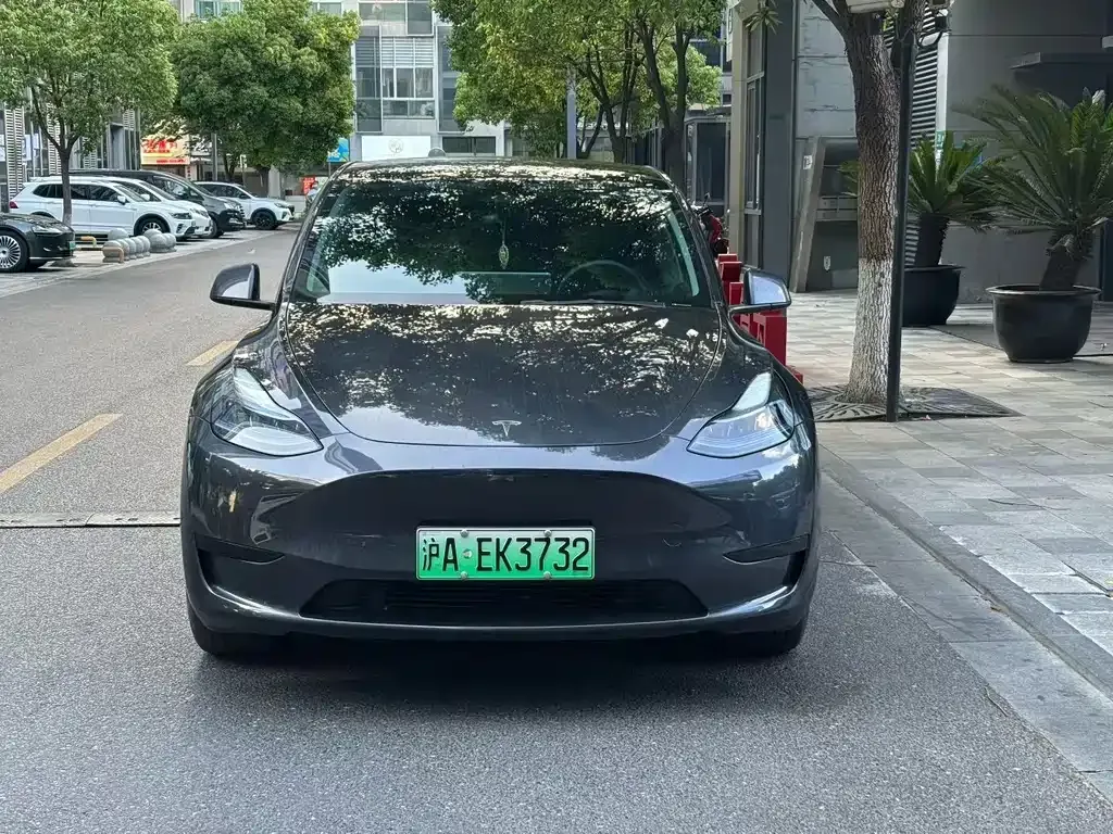 Tesla Model Y — фото 8