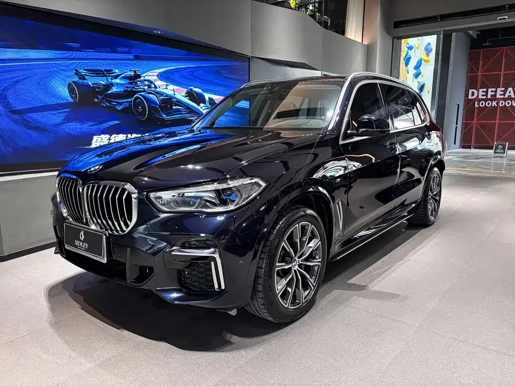 BMW X5 2023 из CN, фото 1