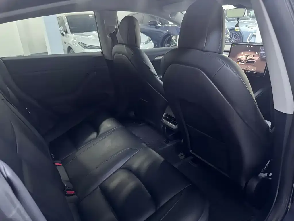 Tesla Model 3 2022 из CN, фото 6