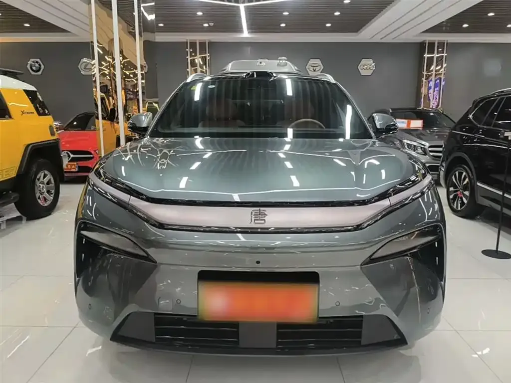 BYD Tang L — фото 2